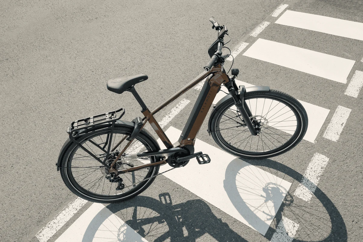 Frau und Mann mit Bikes vor Bergkulisse
