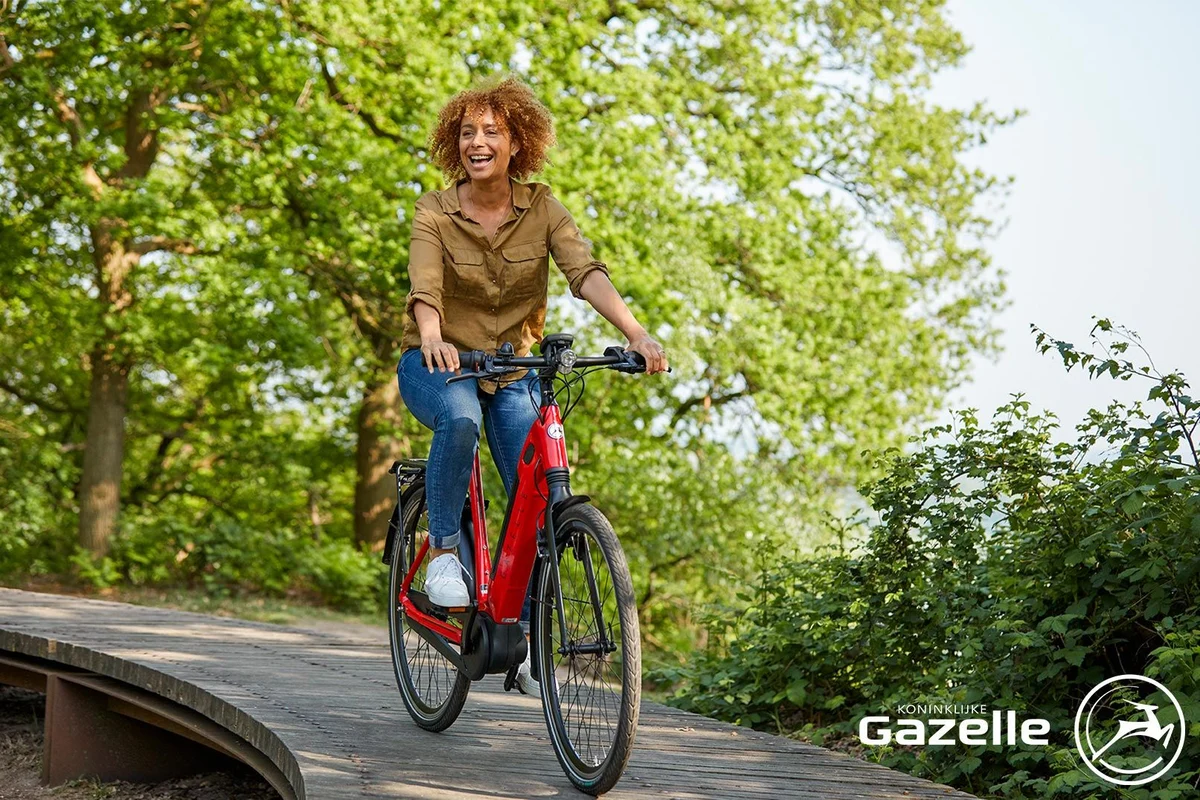 E Bike Leasing Gazelle